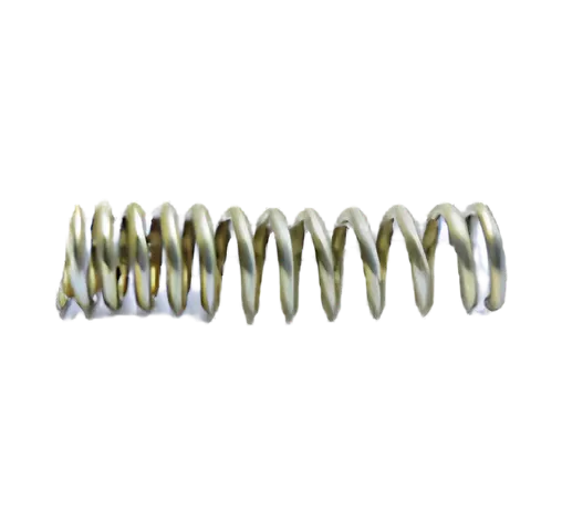 Throttle Valve Spring